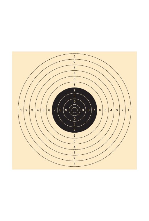 Cible de tir carton 55 X 55 cm