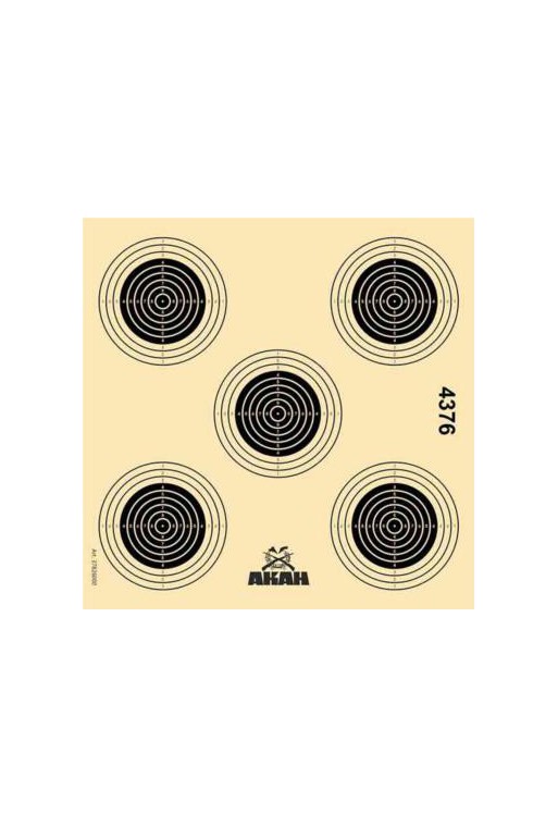 Cible carton 14x14cm Air Rifle AKAH